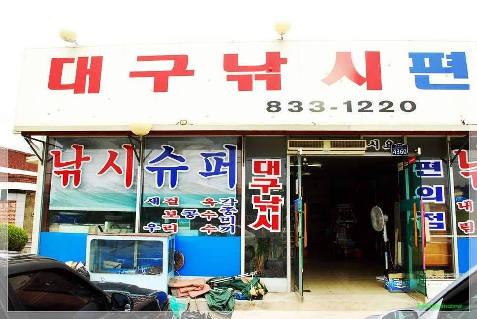 빵마리의 낙수일기동전지 (조황조행기 - 화보조행기)