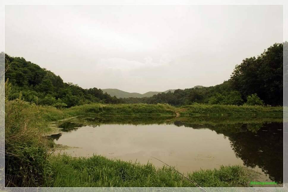 빵마리의 낙수일기동전지 (조황조행기 - 화보조행기)