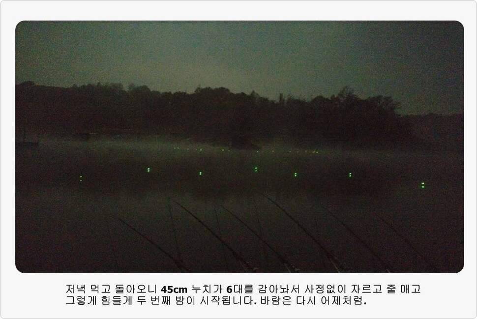 앵글러 36 충주 제일낚시터 대회 참가 (조황조행기 - 화보조행기)