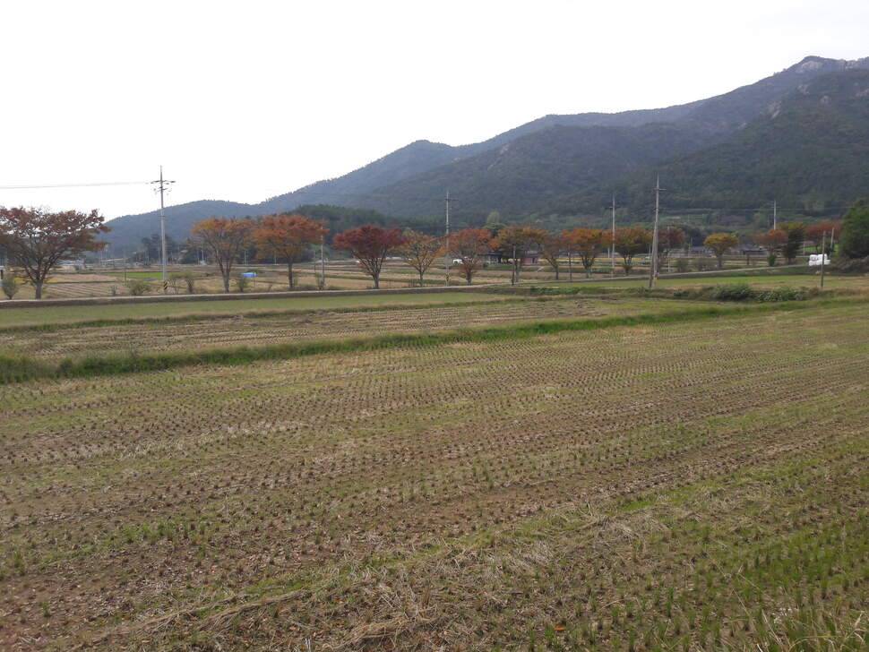 낚시여행 (조황조행기 - 화보조행기)