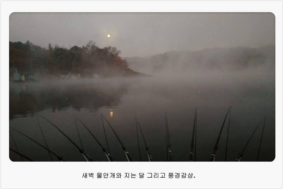 앵글러 36 충주 제일낚시터 대회 참가 (조황조행기 - 화보조행기)