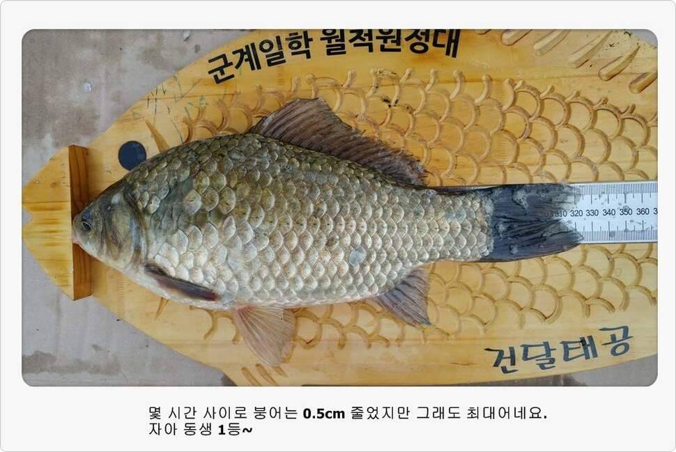 앵글러 35 (조황조행기 - 화보조행기)