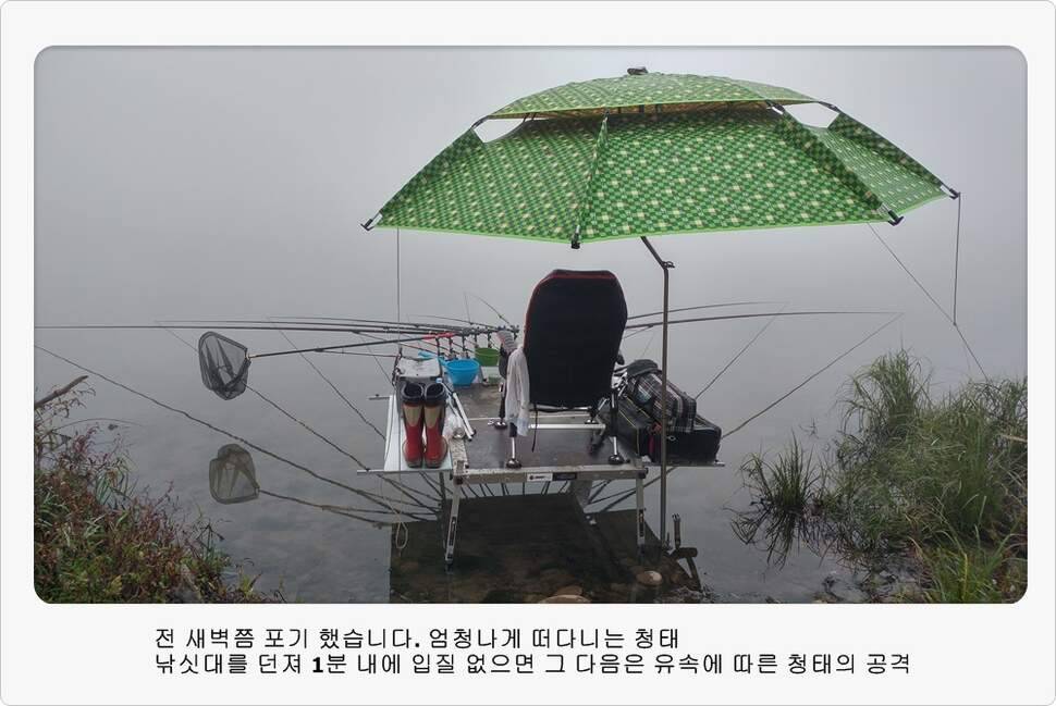 앵글러 35 (조황조행기 - 화보조행기)