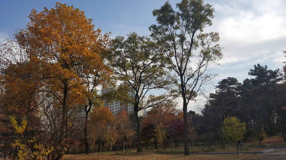 Goodbye 2017 SeaRover Boat Club (조황조행기 - 화보조행기)