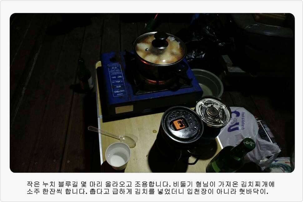 앵글러 36 충주 제일낚시터 대회 참가 (조황조행기 - 화보조행기)