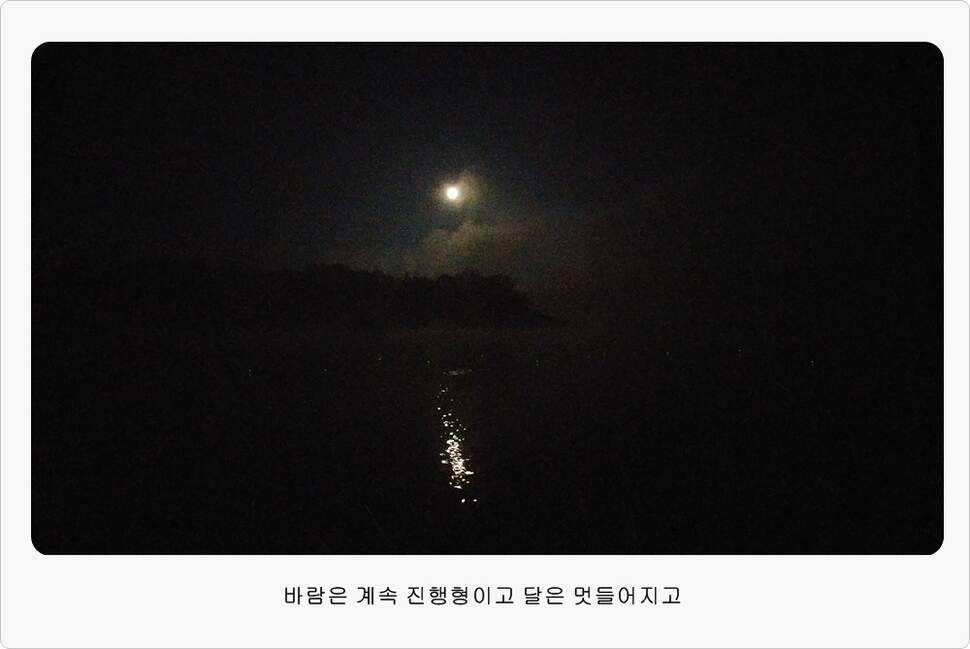앵글러 36 충주 제일낚시터 대회 참가 (조황조행기 - 화보조행기)