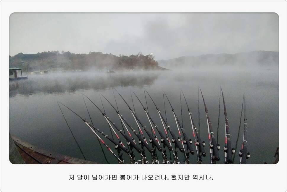 앵글러 36 충주 제일낚시터 대회 참가 (조황조행기 - 화보조행기)