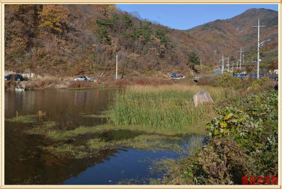 일심조우회 201711월 정출 (조황조행기 - 화보조행기)