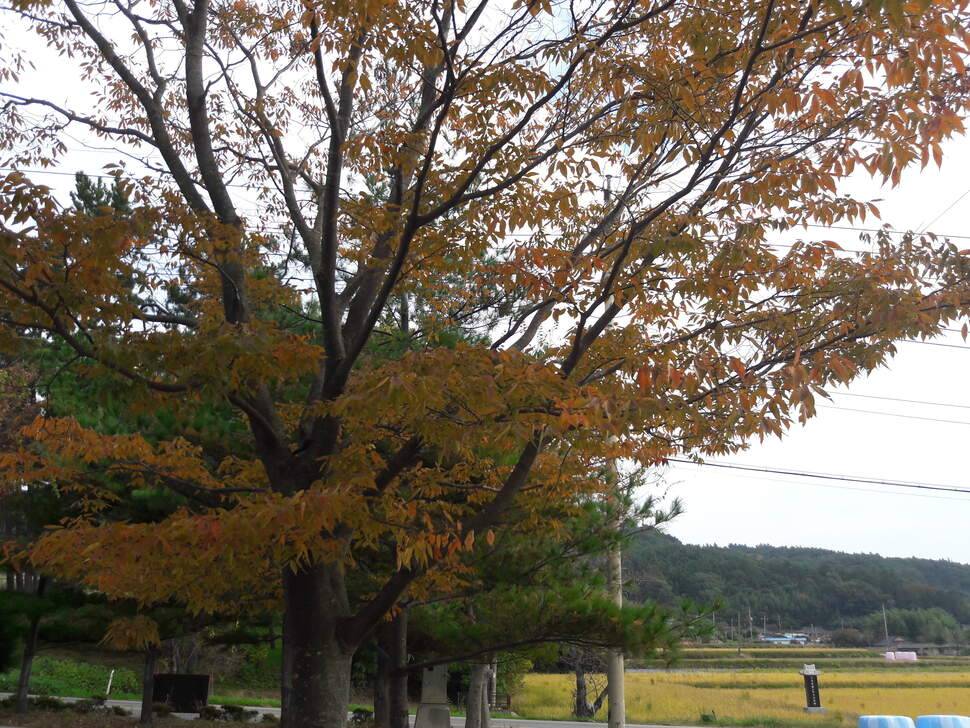 낚시여행 (조황조행기 - 화보조행기)