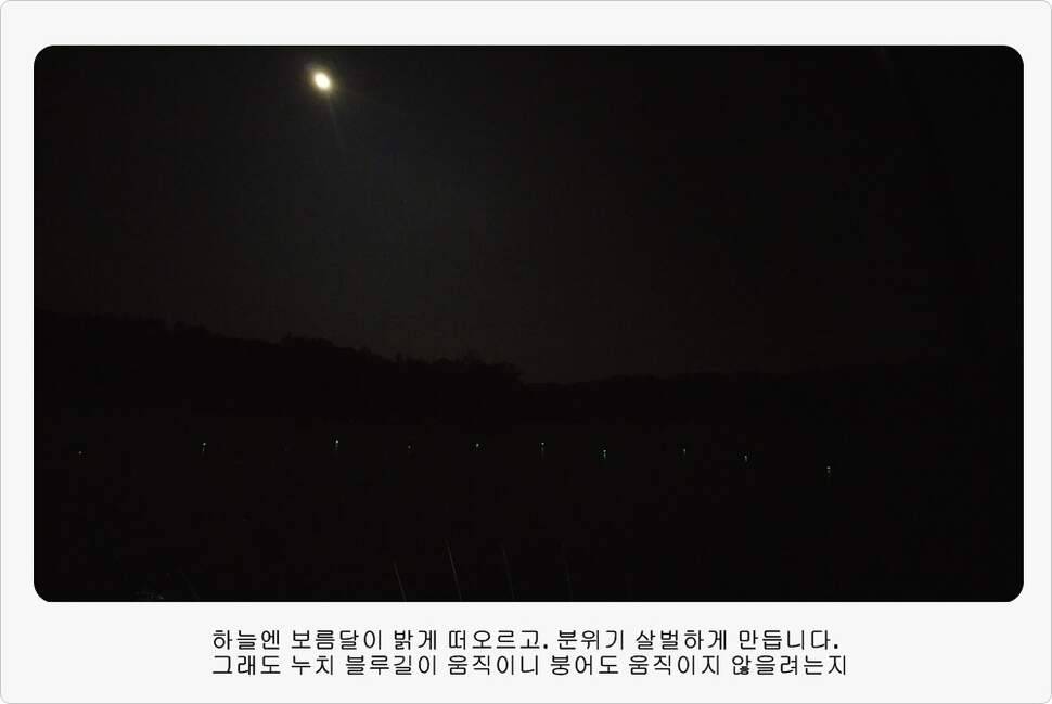 앵글러 36 충주 제일낚시터 대회 참가 (조황조행기 - 화보조행기)