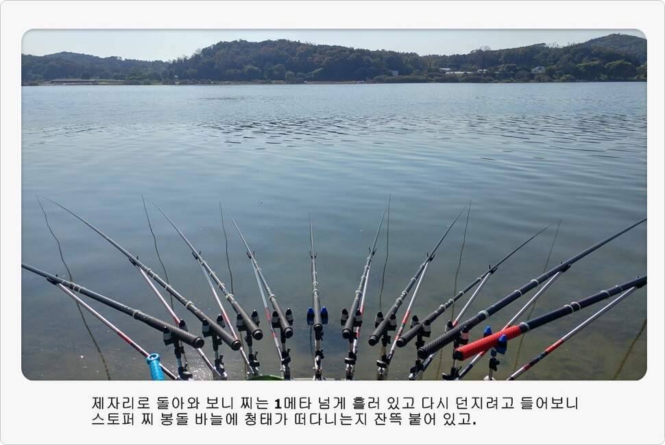 앵글러 35 (조황조행기 - 화보조행기)