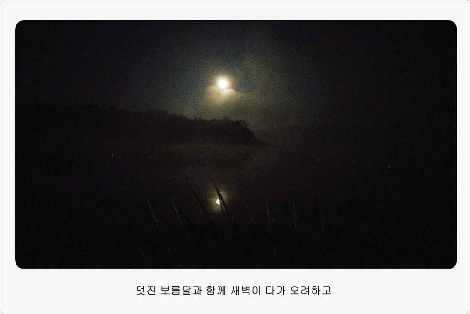 앵글러 36 충주 제일낚시터 대회 참가 (조황조행기 - 화보조행기)