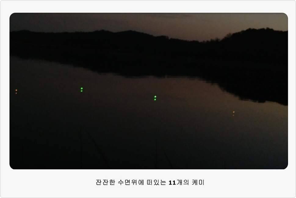 앵글러 35 (조황조행기 - 화보조행기)