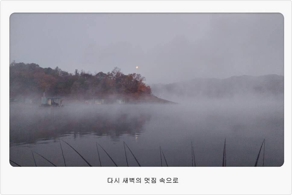 앵글러 36 충주 제일낚시터 대회 참가 (조황조행기 - 화보조행기)