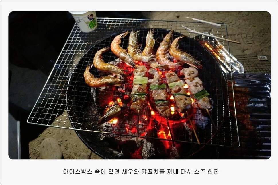 앵글러 35 (조황조행기 - 화보조행기)