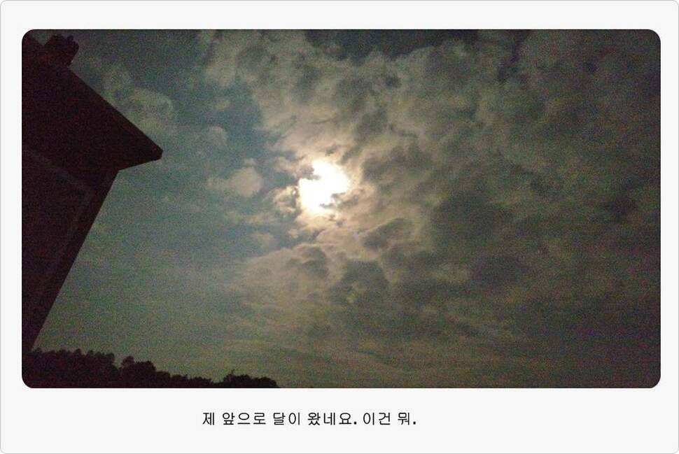 앵글러 36 충주 제일낚시터 대회 참가 (조황조행기 - 화보조행기)