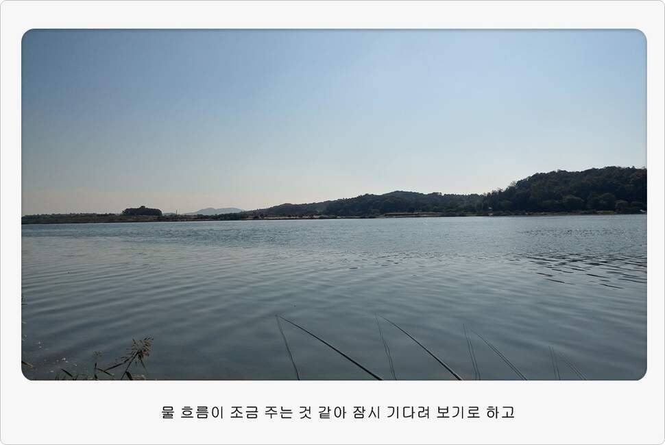 앵글러 35 (조황조행기 - 화보조행기)