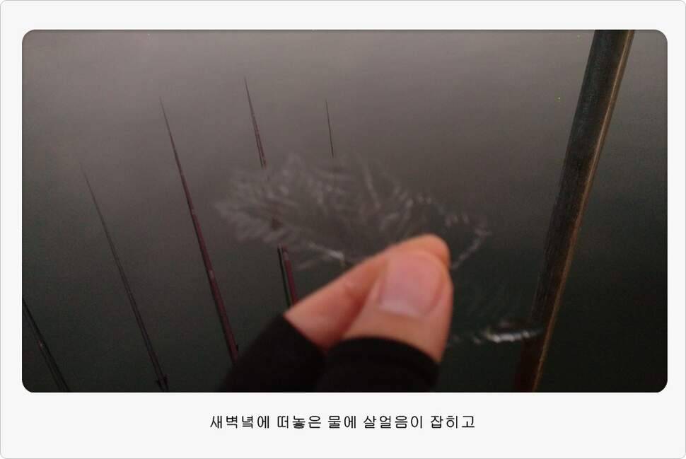 앵글러 36 충주 제일낚시터 대회 참가 (조황조행기 - 화보조행기)