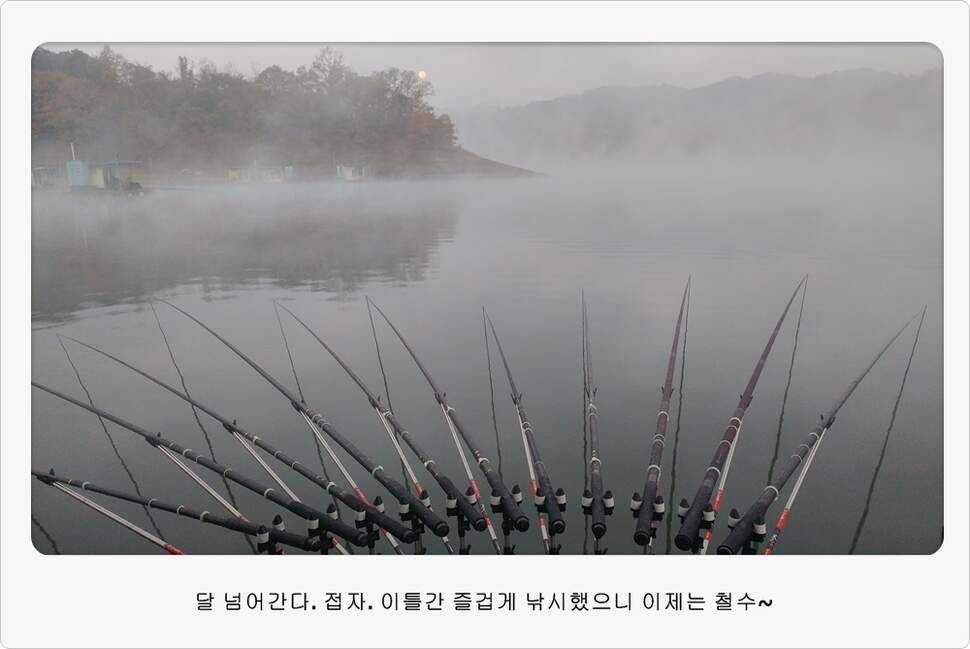 앵글러 36 충주 제일낚시터 대회 참가 (조황조행기 - 화보조행기)
