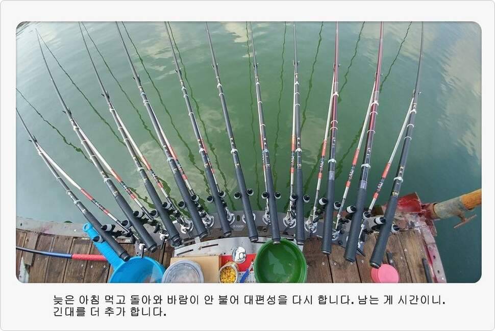 앵글러 36 충주 제일낚시터 대회 참가 (조황조행기 - 화보조행기)