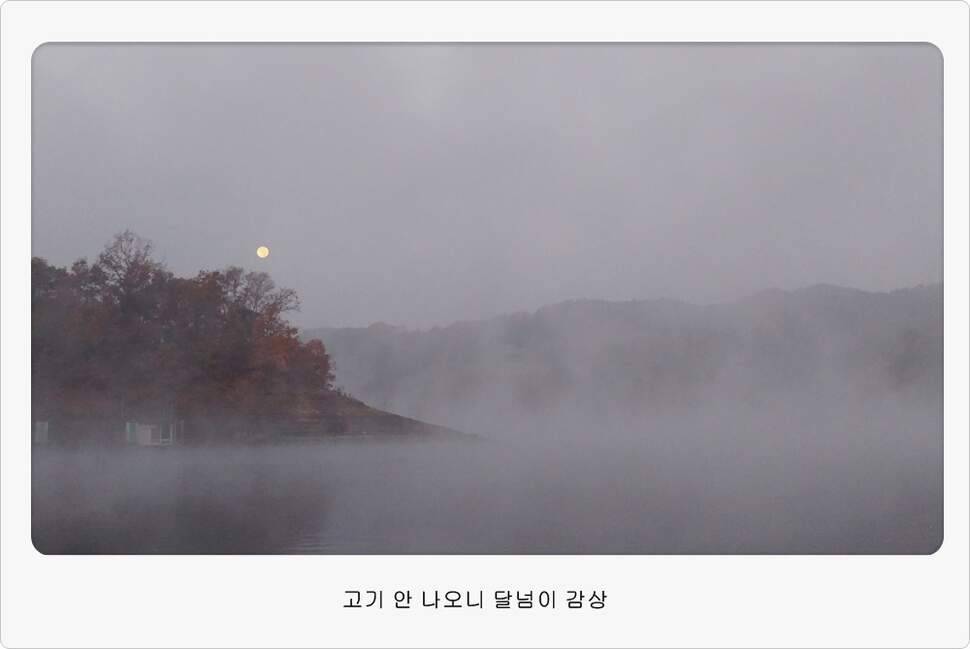 앵글러 36 충주 제일낚시터 대회 참가 (조황조행기 - 화보조행기)