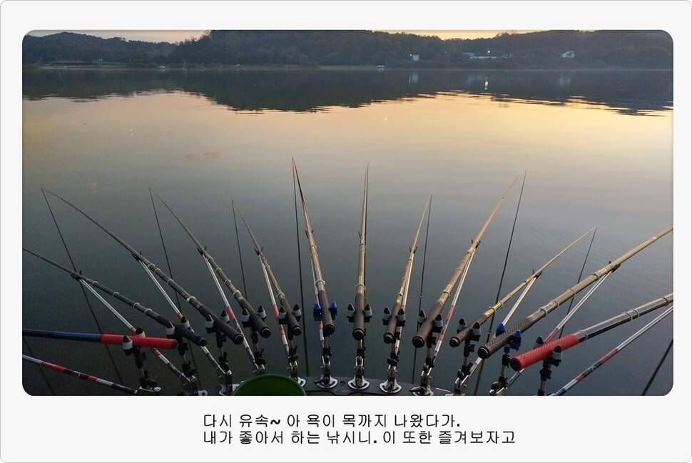 앵글러 35 (조황조행기 - 화보조행기)