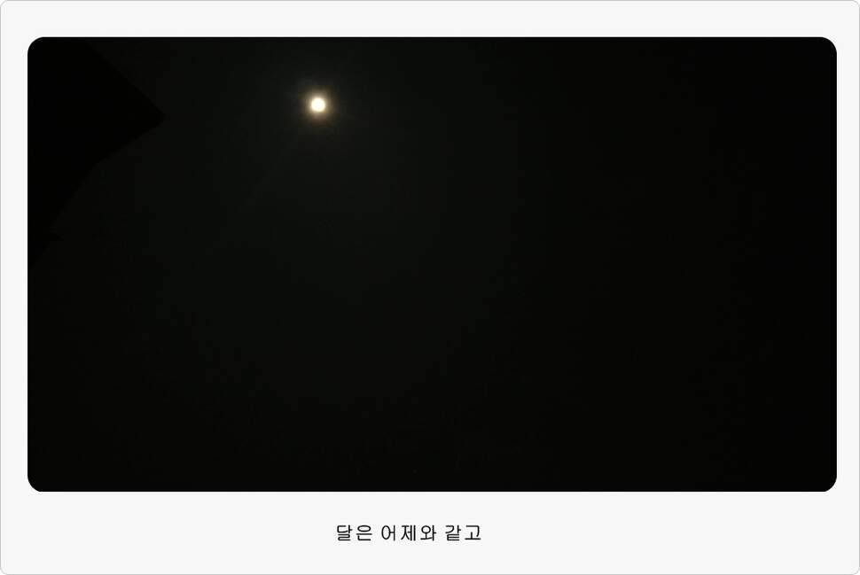 앵글러 36 충주 제일낚시터 대회 참가 (조황조행기 - 화보조행기)