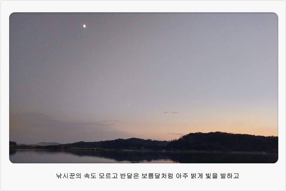 앵글러 35 (조황조행기 - 화보조행기)