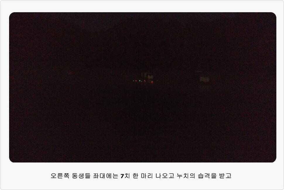 앵글러 36 충주 제일낚시터 대회 참가 (조황조행기 - 화보조행기)