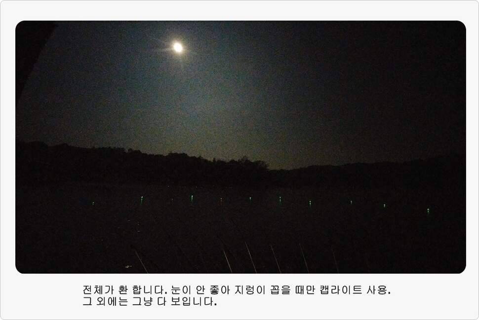 앵글러 36 충주 제일낚시터 대회 참가 (조황조행기 - 화보조행기)