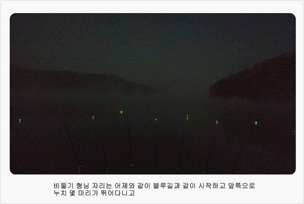 앵글러 36 충주 제일낚시터 대회 참가 (조황조행기 - 화보조행기)