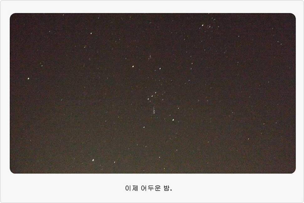 앵글러 35 (조황조행기 - 화보조행기)