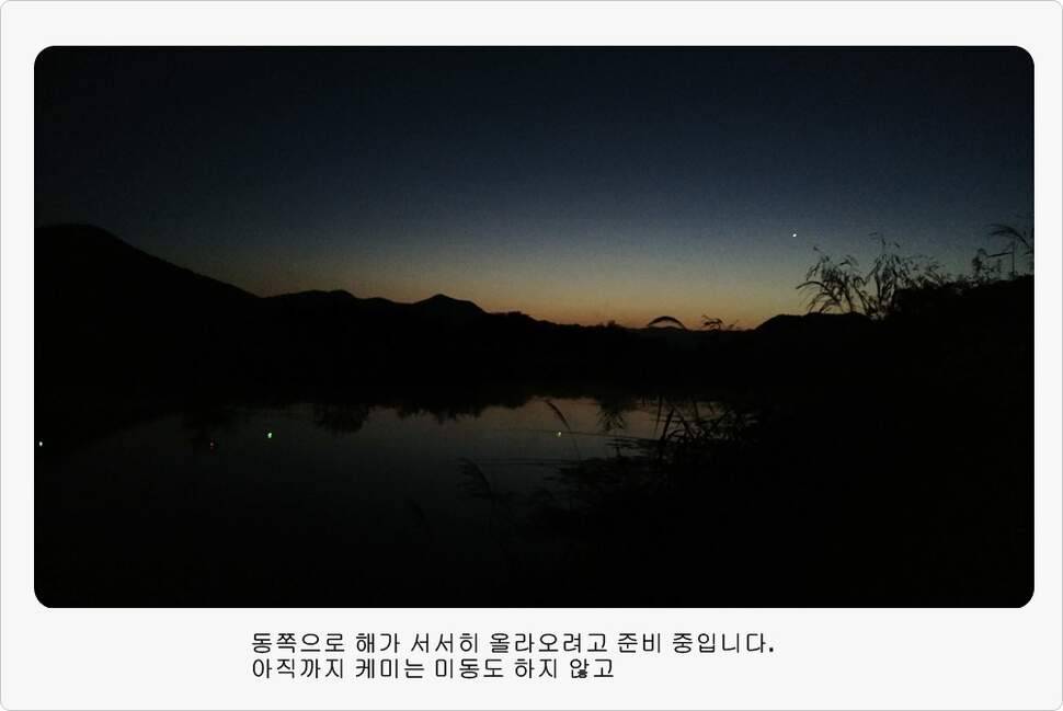 앵글러 34 (조황조행기 - 화보조행기)