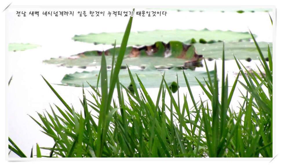 모처럼의 조행 118 (조황조행기 - 화보조행기)