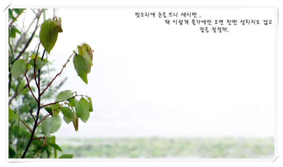 모처럼의 조행 118 (조황조행기 - 화보조행기)
