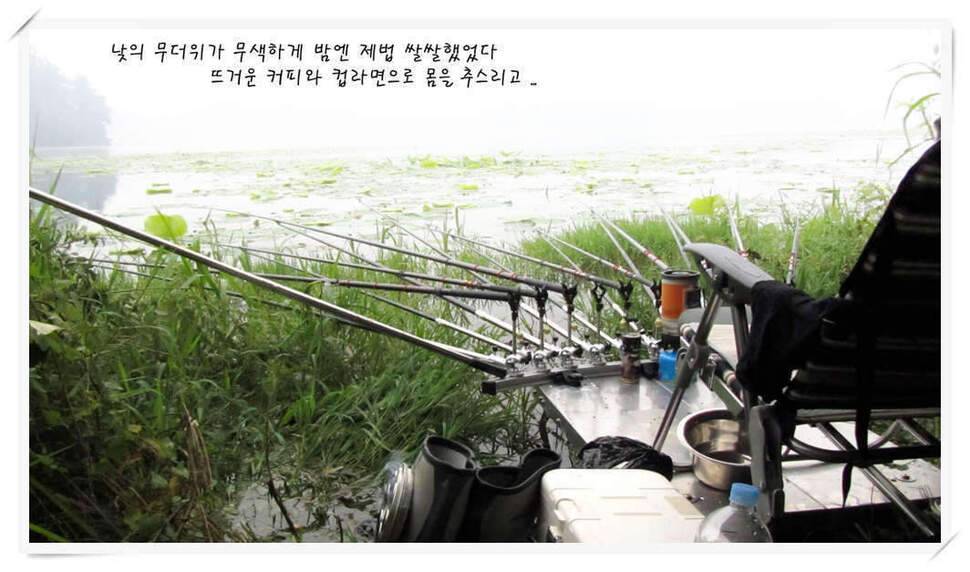 모처럼의 조행 118 (조황조행기 - 화보조행기)