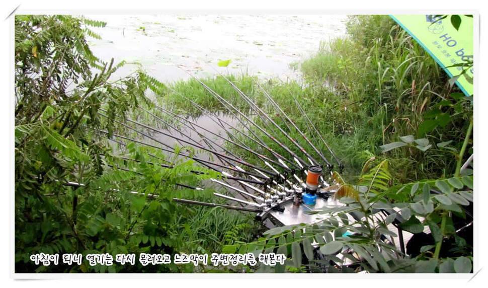 모처럼의 조행 118 (조황조행기 - 화보조행기)