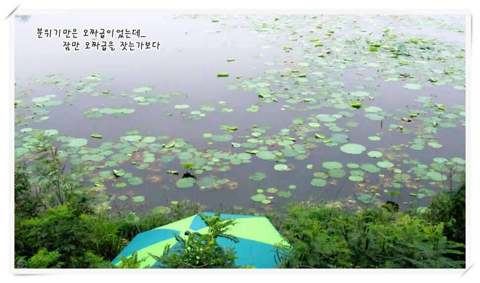 모처럼의 조행 118 (조황조행기 - 화보조행기)
