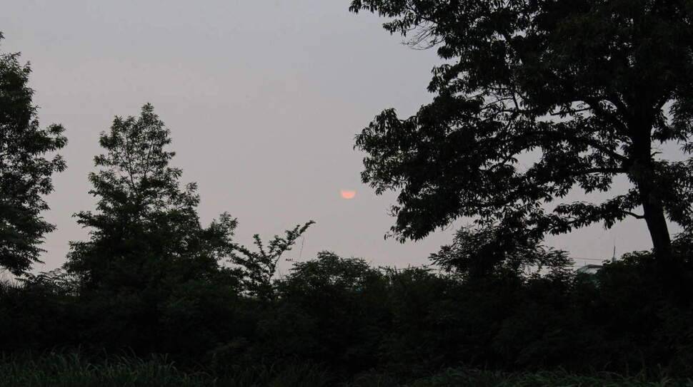 나는 꽝조사 (조황조행기 - 화보조행기)
