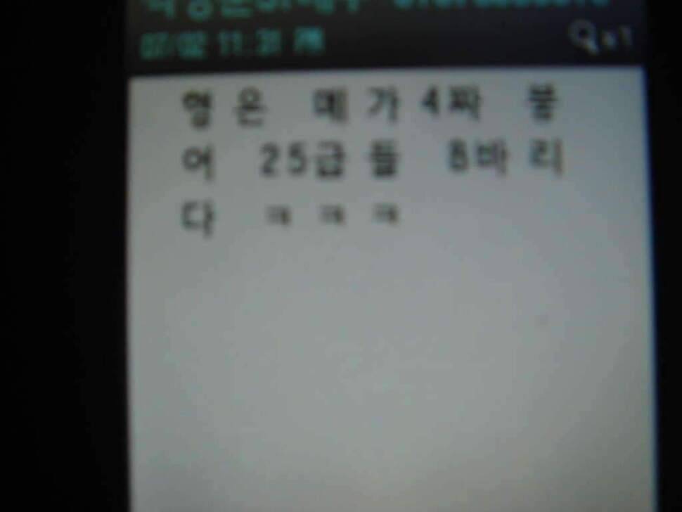 총각네 대물오름수위 실패 (조황조행기 - 화보조행기)