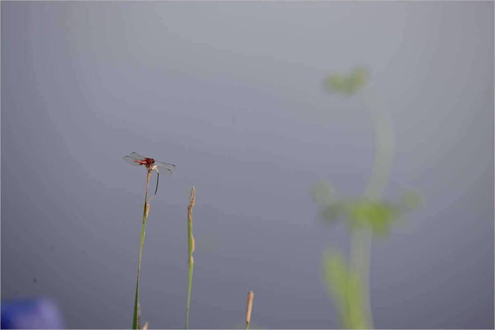 가을의 숨결을 느끼며 (조황조행기 - 화보조행기)