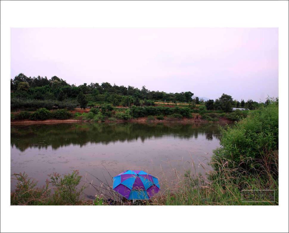 또순이아빠 낚시와소풍 (조황조행기 - 화보조행기)