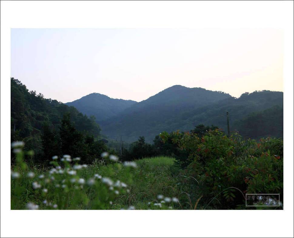 또순이아빠 낚시와소풍 (조황조행기 - 화보조행기)