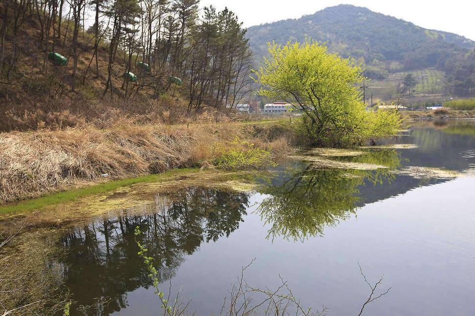 同行 (조황조행기 - 화보조행기)