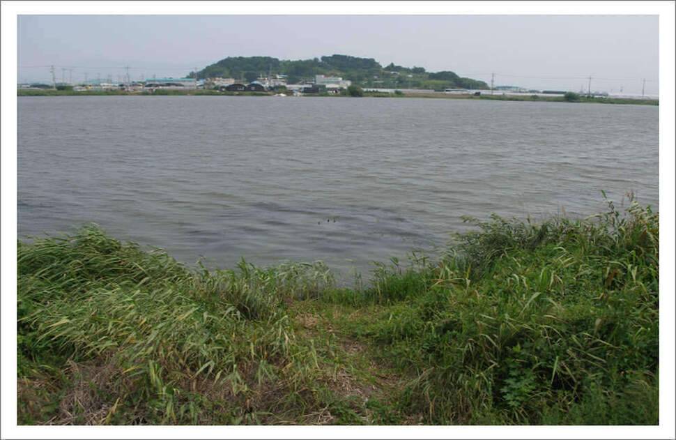 진짜붕어 방방곡곡 제22부 중사도 (조황조행기 - 화보조행기)