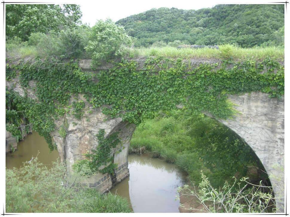 태풍 속 남대천 (조황조행기 - 화보조행기)