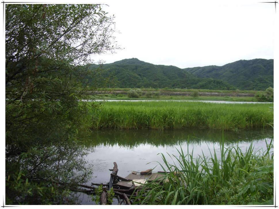 태풍 속 남대천 (조황조행기 - 화보조행기)