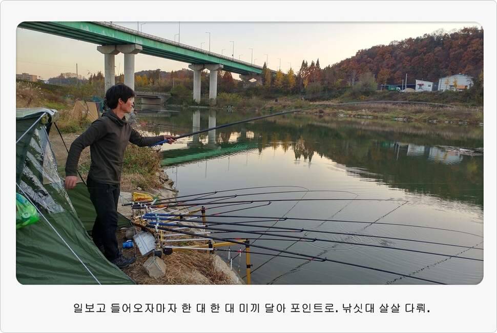 앵글러 37 (조황조행기 - 화보조행기)