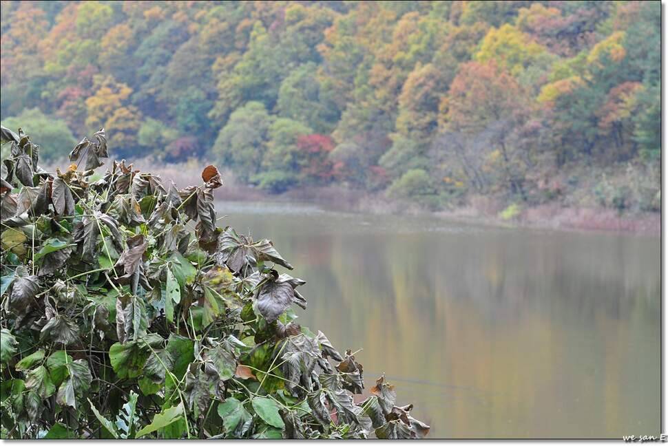 만추 (조황조행기 - 화보조행기)