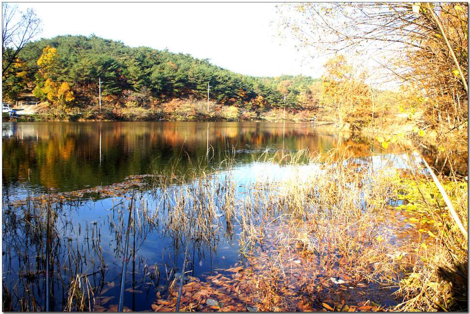 워리를 찾아서 2 (조황조행기 - 화보조행기)